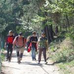 Piramidi di Terra (Altopiano del Renon)